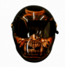 Ronin Custom airbrushed Helmet